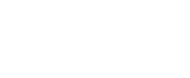 Institute for Environmental Analytics